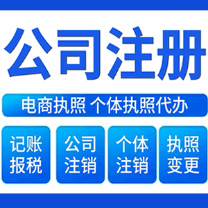 儋州提供公司变更，银行户变更等变更服务
